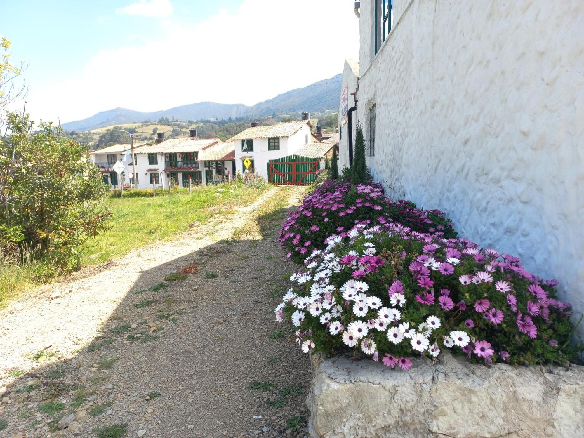 Hospedaje Y Camping Del Rio Mongui Exterior photo