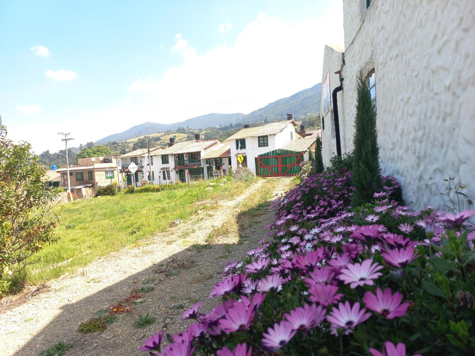 Hospedaje Y Camping Del Rio Mongui Exterior photo