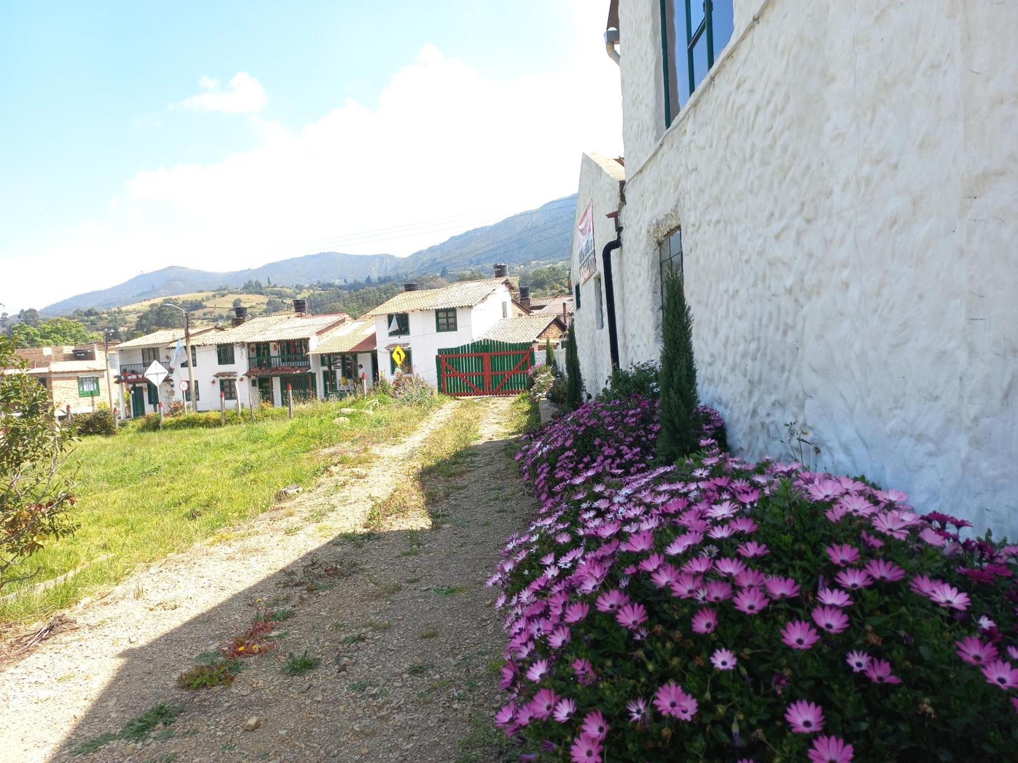 Hospedaje Y Camping Del Rio Mongui Exterior photo