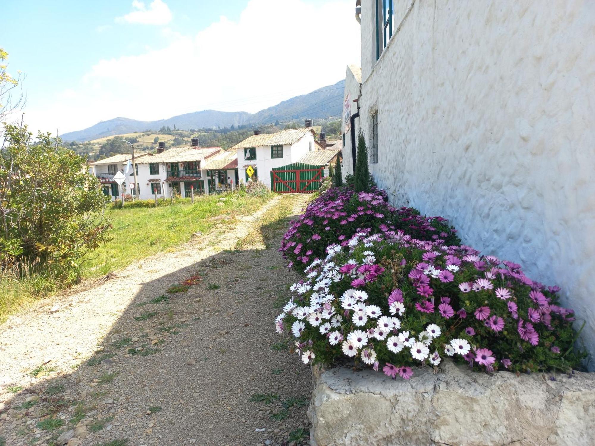 Hospedaje Y Camping Del Rio Mongui Exterior photo